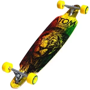 Get To Know Some Of The Best Longboards For Girls1